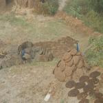 Vraj-Yatra-2014- (1569)